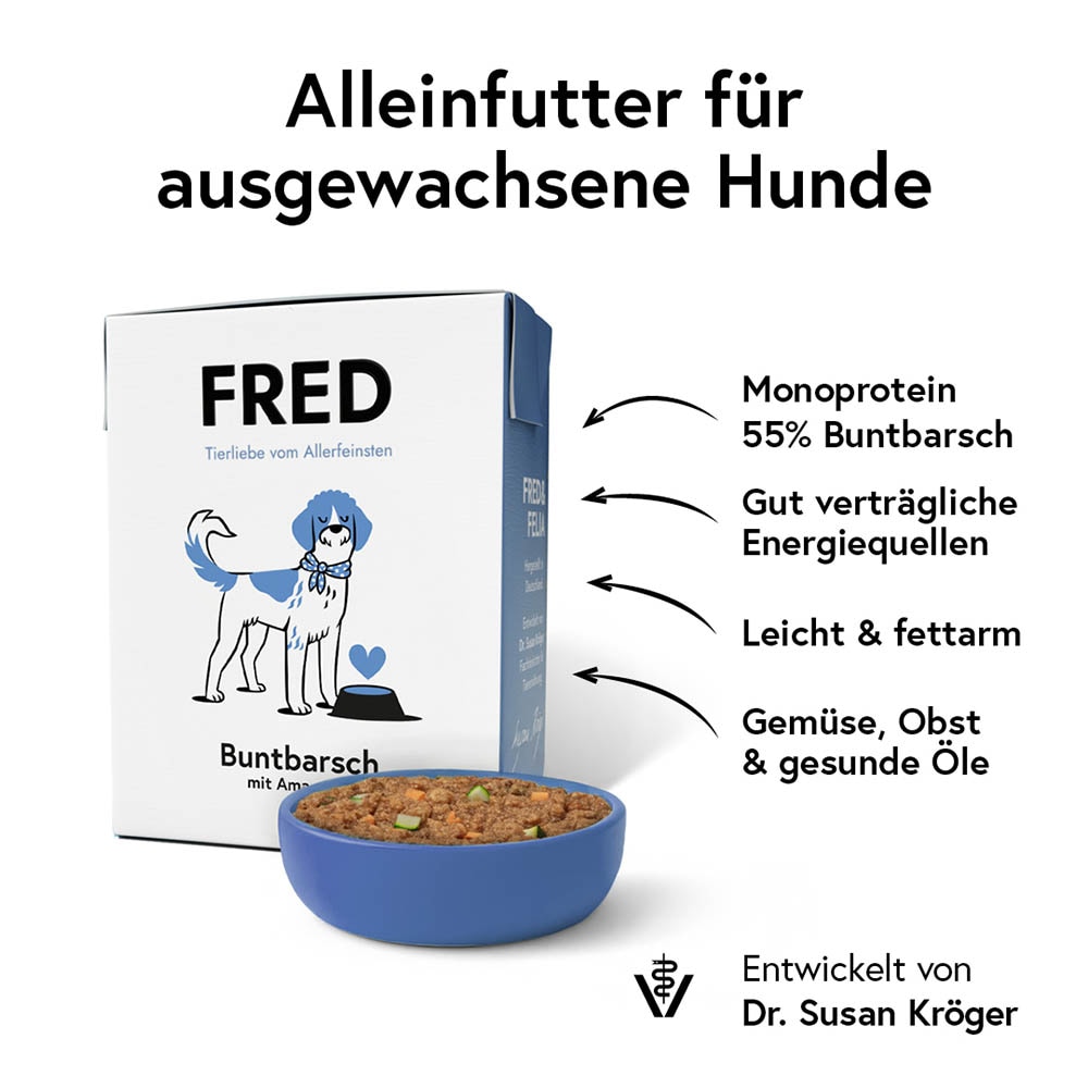Fred Buntbarsch mit Amaranth_1