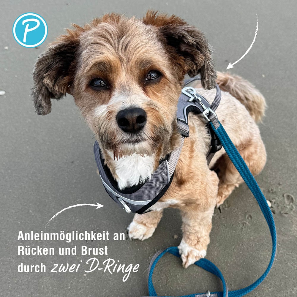 Petlando Outdoor Geschirr petrol_3