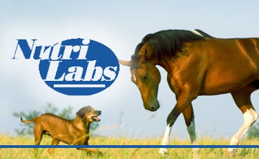 NutriLabs NutriLabs