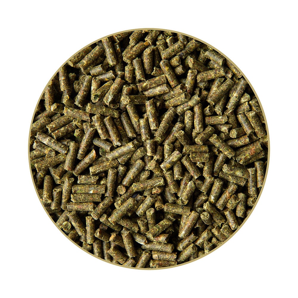 St. Hippolyt Meta-Diät_1