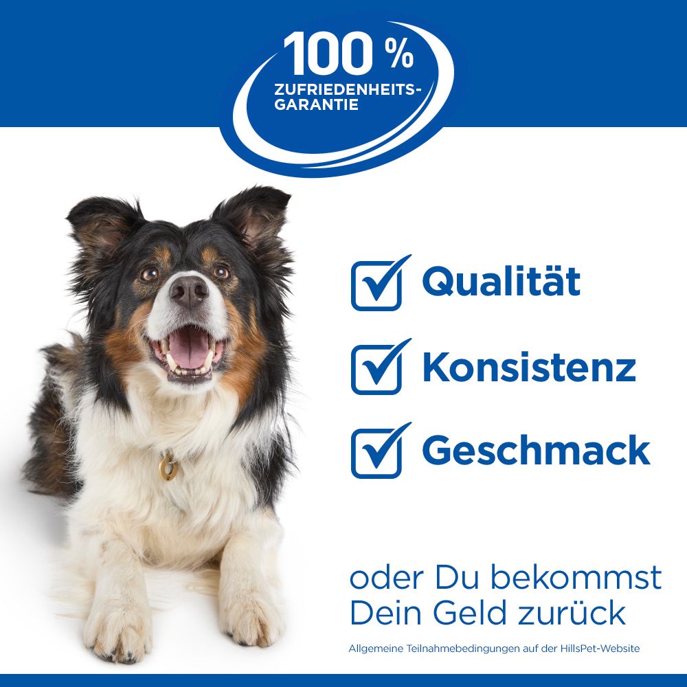 Hills Science Plan Small & Mini Mature Adult 7+ Mousse für Hunde mit Rindfleisch_7