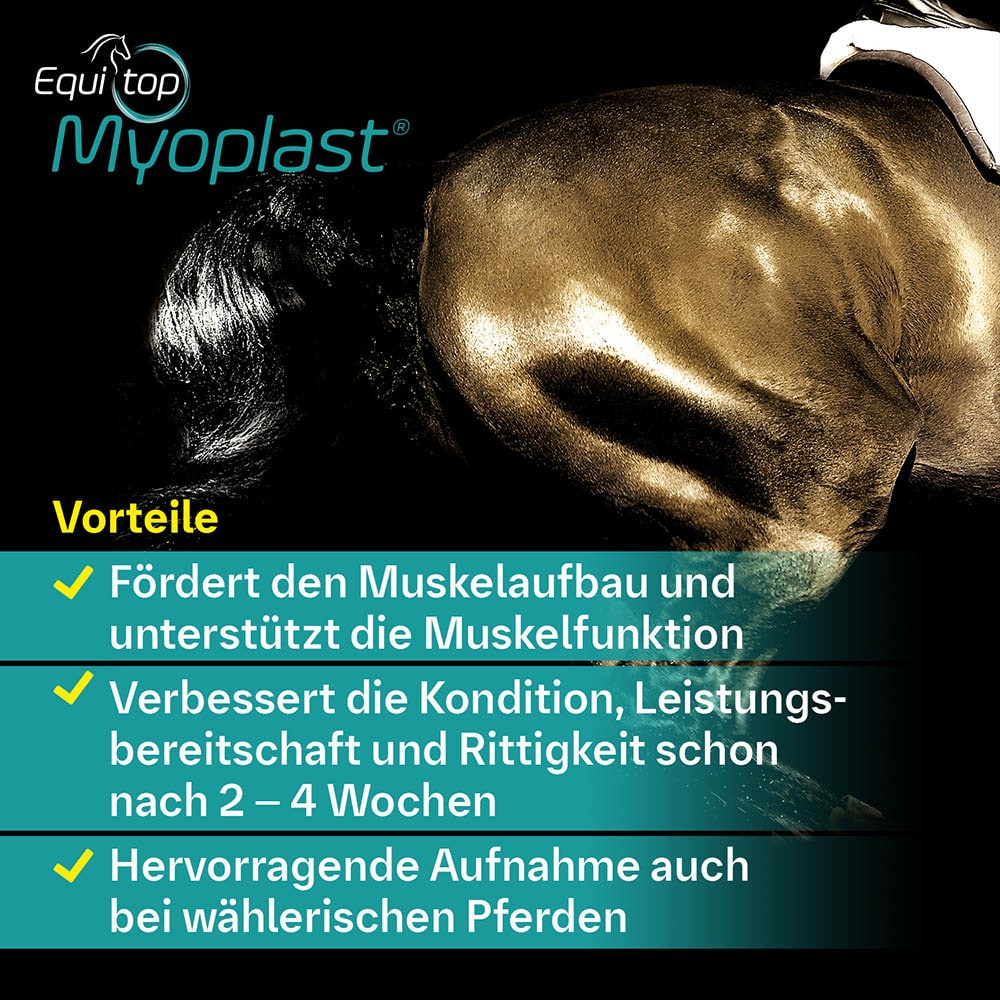 Boehringer Ingelheim Equitop Myoplast Granulat_3