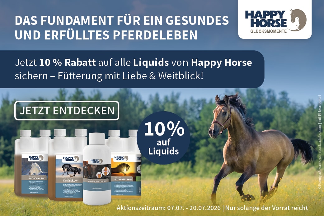 Happy Horse