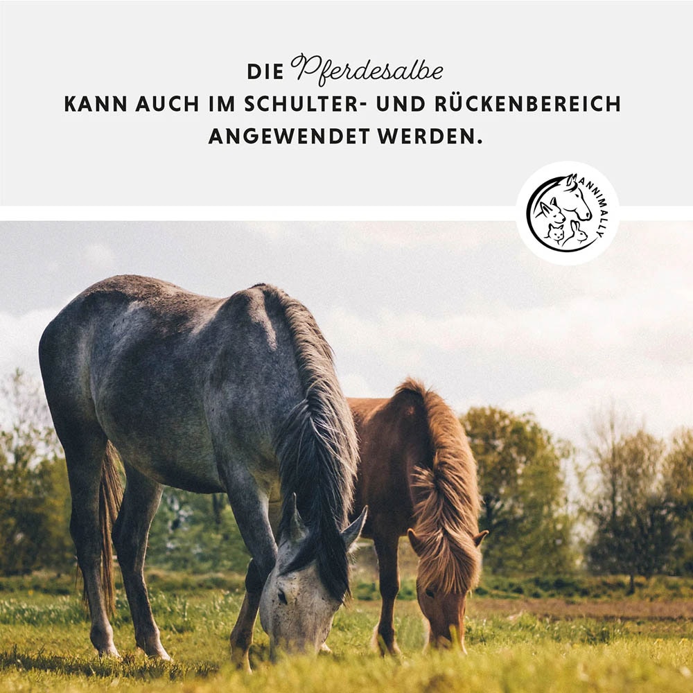 Annimally Pferdesalbe_4