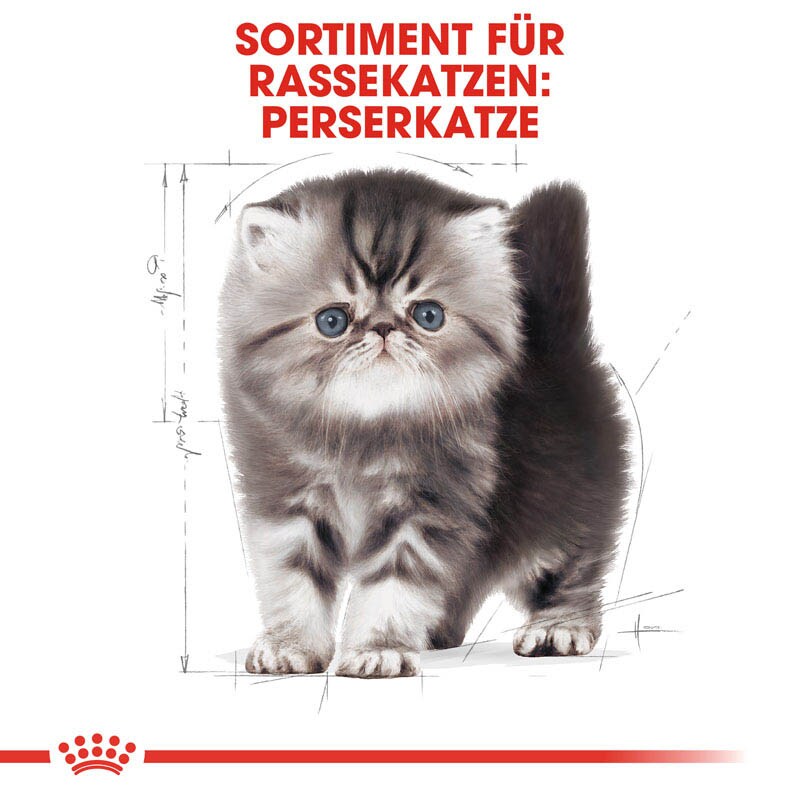Royal Canin Persian Kittenfutter trocken für Perser-Kätzchen_2