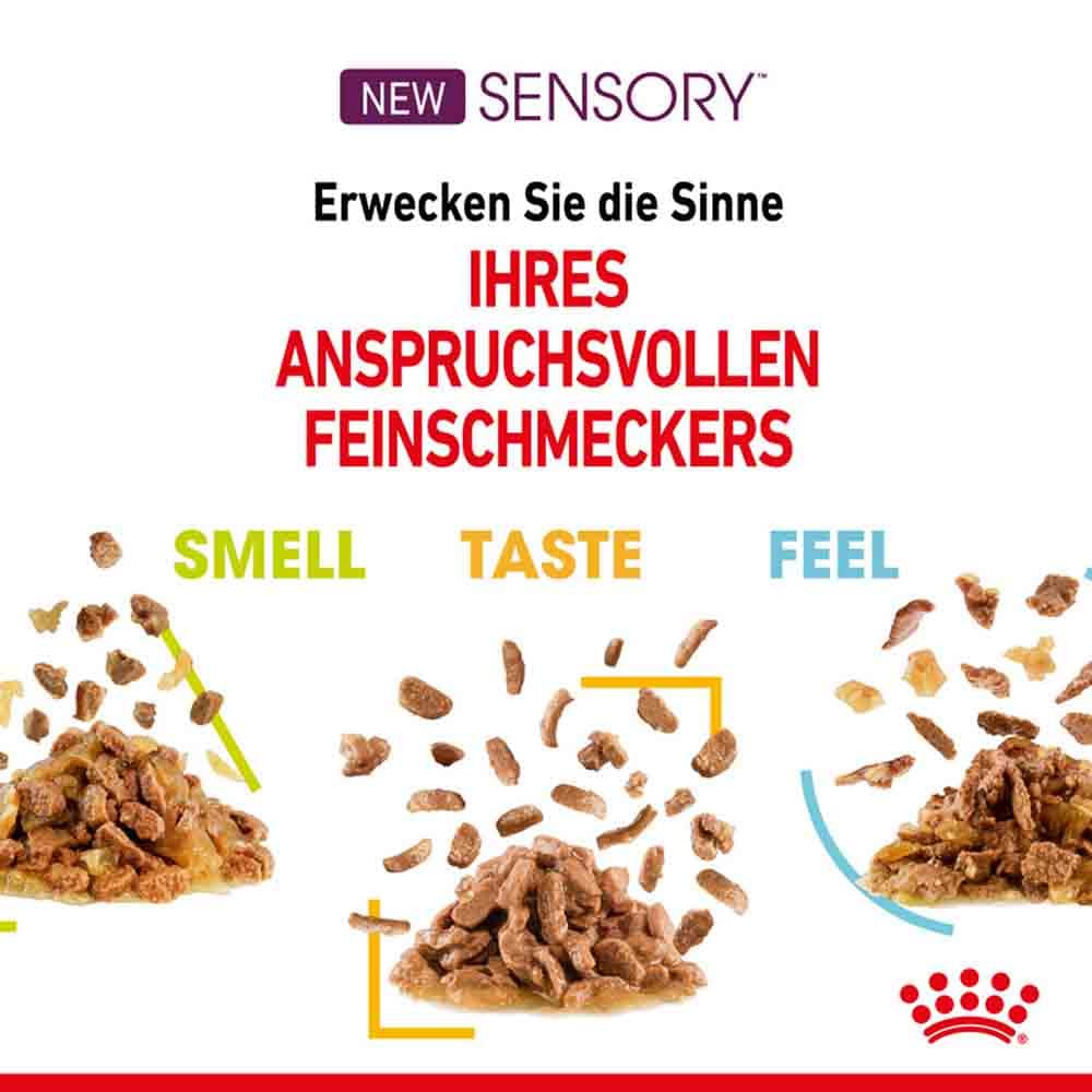 Royal Canin Sensory Feel Nassfutter in Soße für wählerische Katzen_3