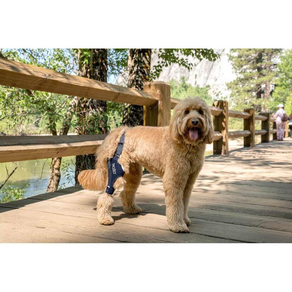 Balto Rehab-Orthese BT Jump rechts_1