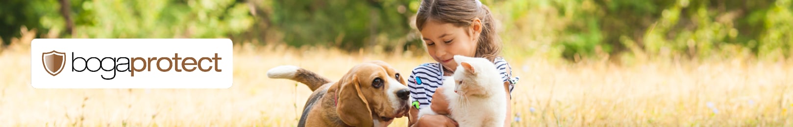 Bogaprotect