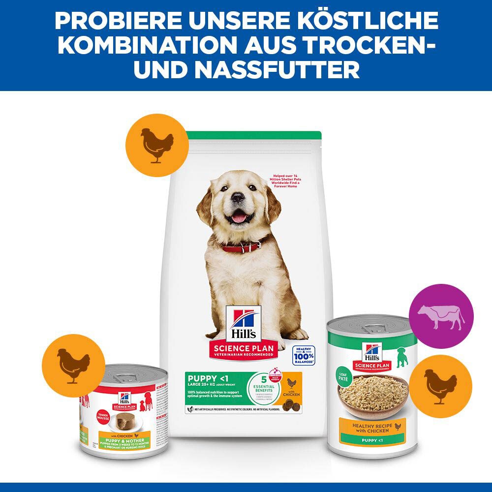 Hills Science Plan Puppy Large Breed mit Huhn Trockenfutter für Hunde_6