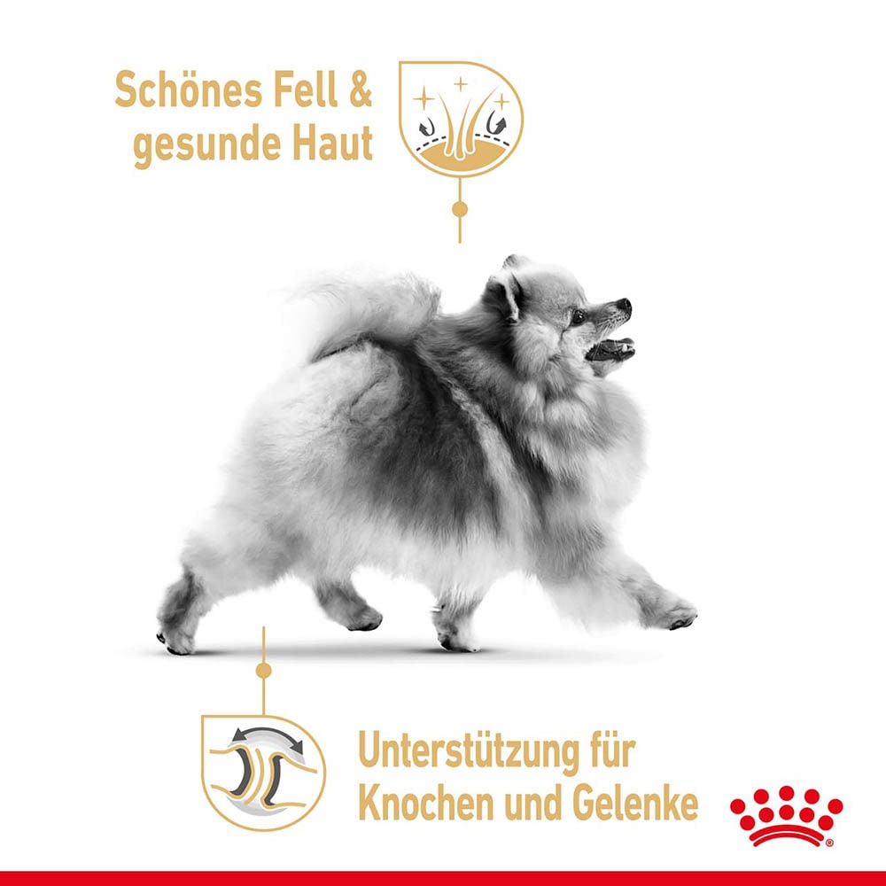 Royal Canin Pomeranian Breed Adult Trockennahrung für ausgewachsene Zwergspitze (>8 Monate) _3