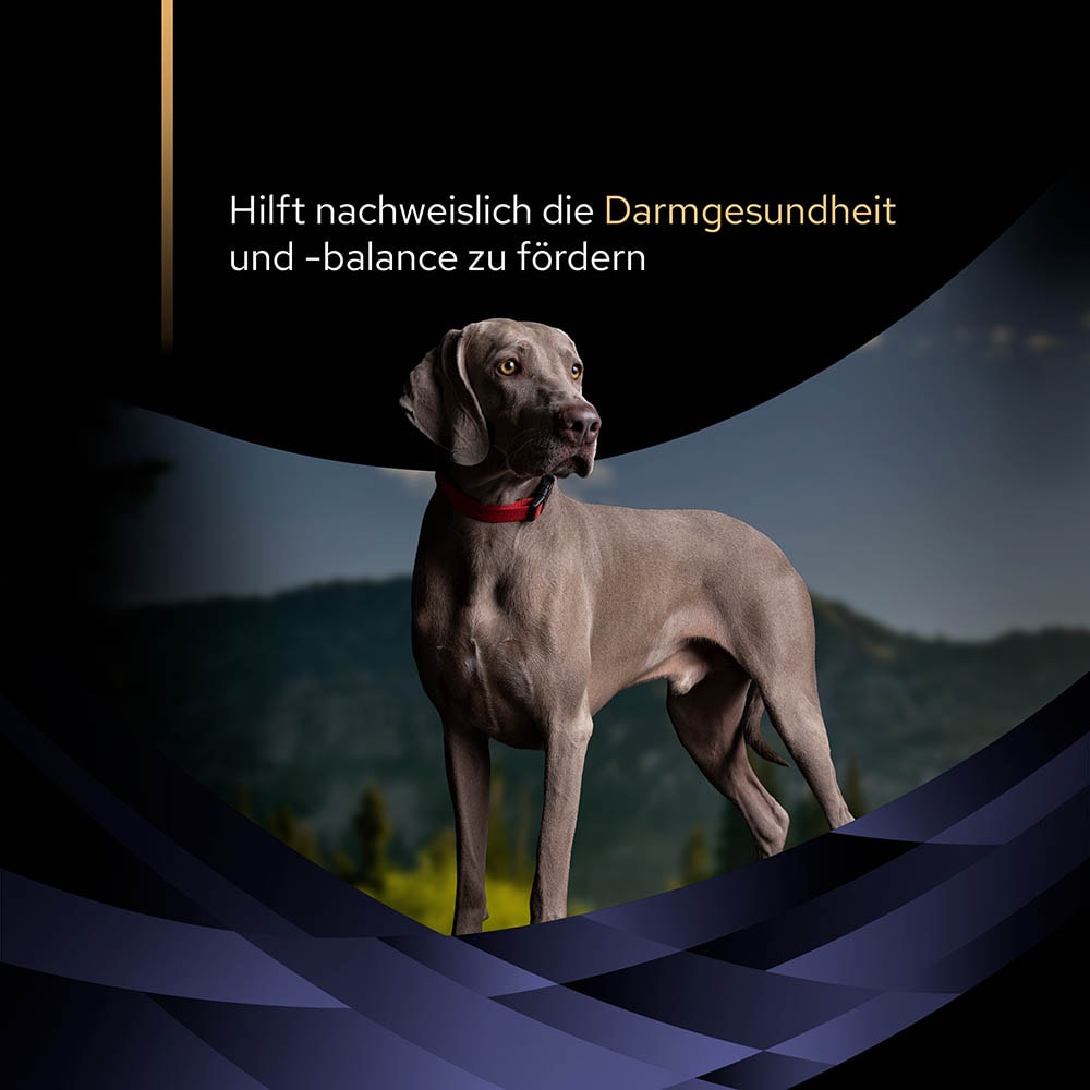 Purina Pro Plan FortiFlora Probiotikum Pulver für Hunde_1