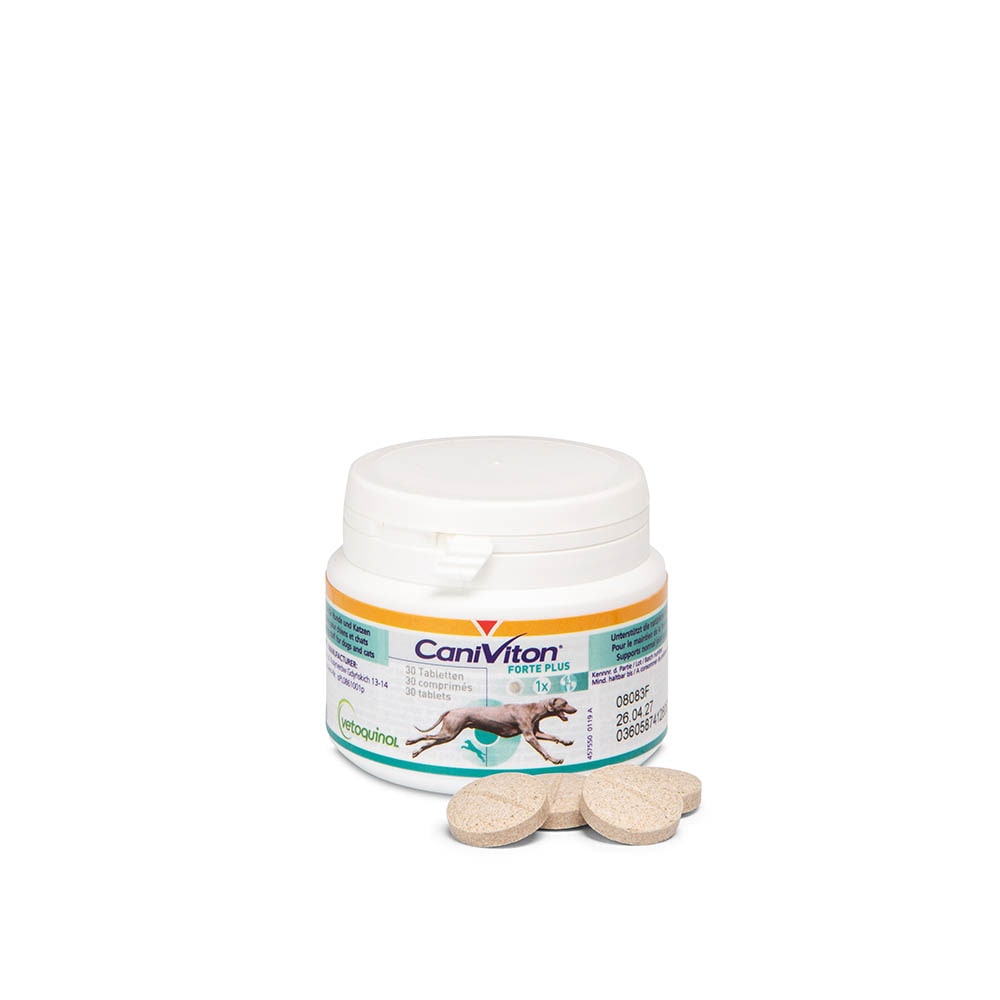 Vetoquinol Caniviton Forte Plus_0