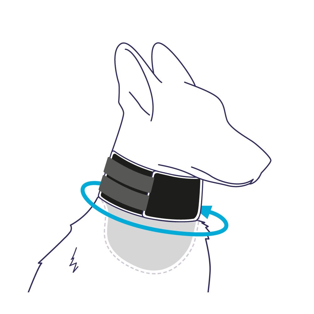 Balto Halsmanschette BT Neck Eco _6