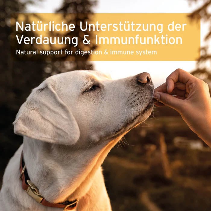 AniForte Prebiotic TopinPur VET Kombi_4