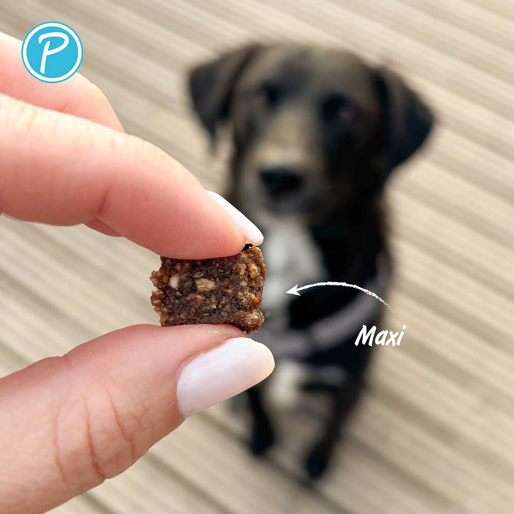Petlando Softsnack Hypoallergen Wasserbüffel_5