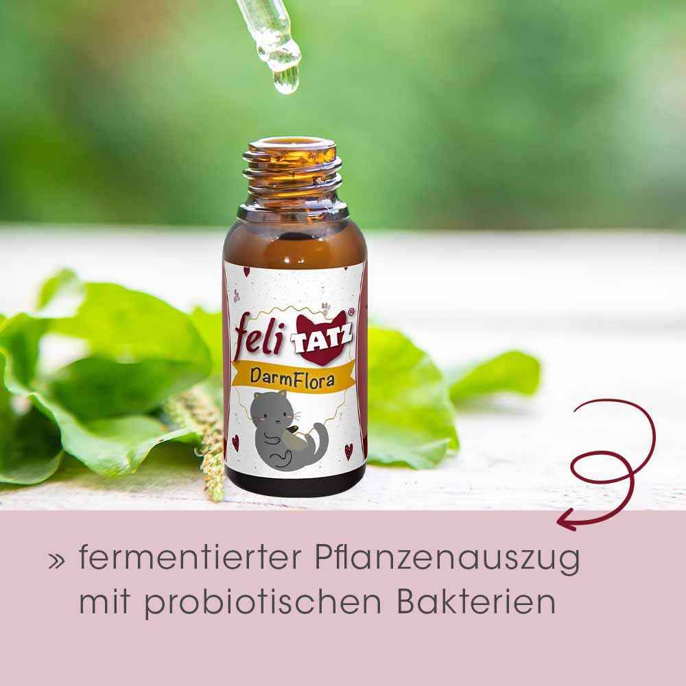 cdVet feliTATZ DarmFlora_3