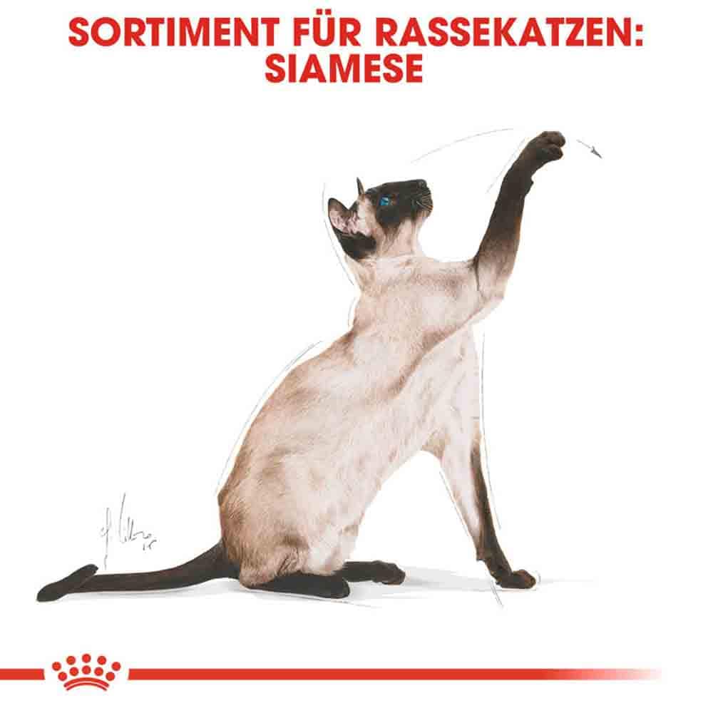 Royal Canin Siamese Adult Katzenfutter trocken_2