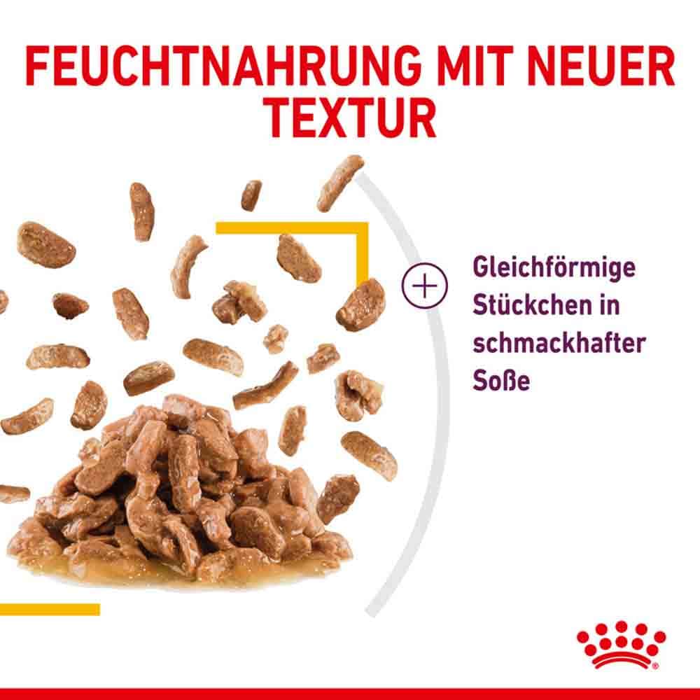 Royal Canin Sensory Taste Nassfutter in Soße für wählerische Katzen_4
