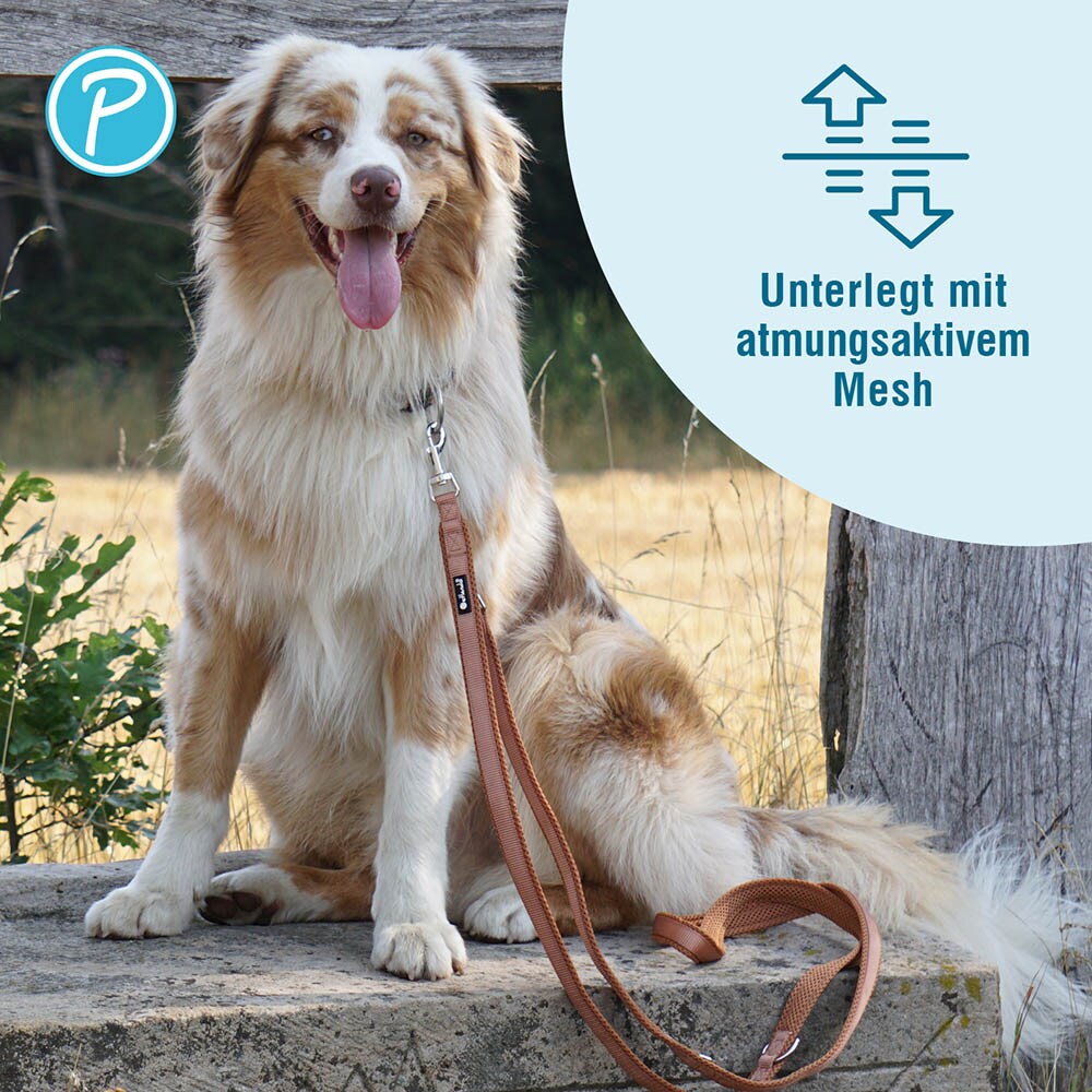 Petlando Mesh verstellbare Führleine cognac_2