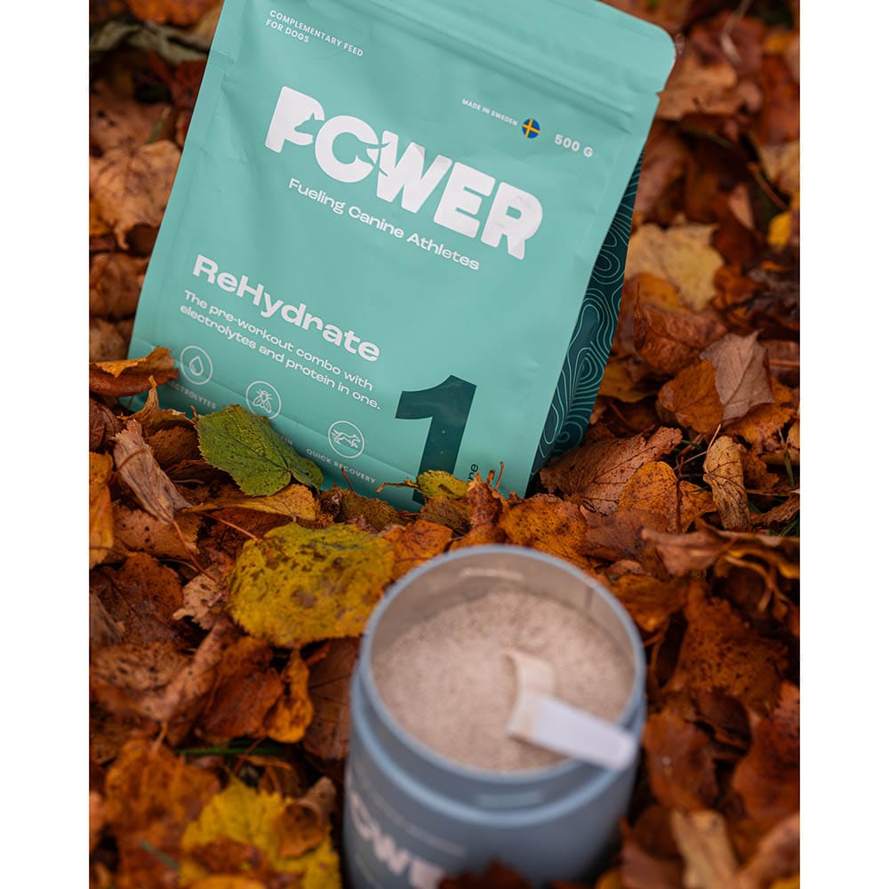 European Pet Pharmacy ReHydrate – Elektrolyte für Hunde_1
