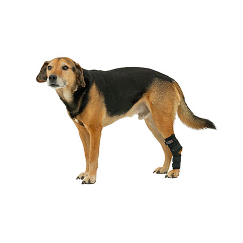 Tierarzt24 Neopren Tarsalprotektor _0