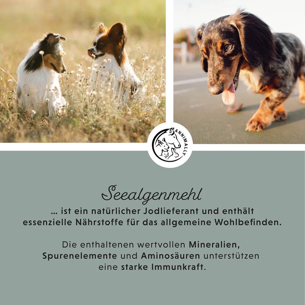 Annimally Seealgenmehl_2