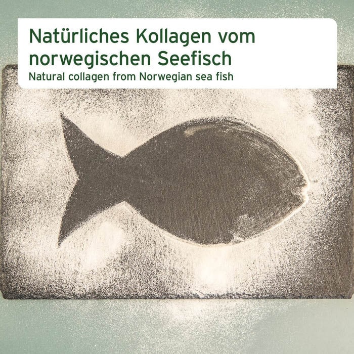 AniForte Kollagen Pulver_2