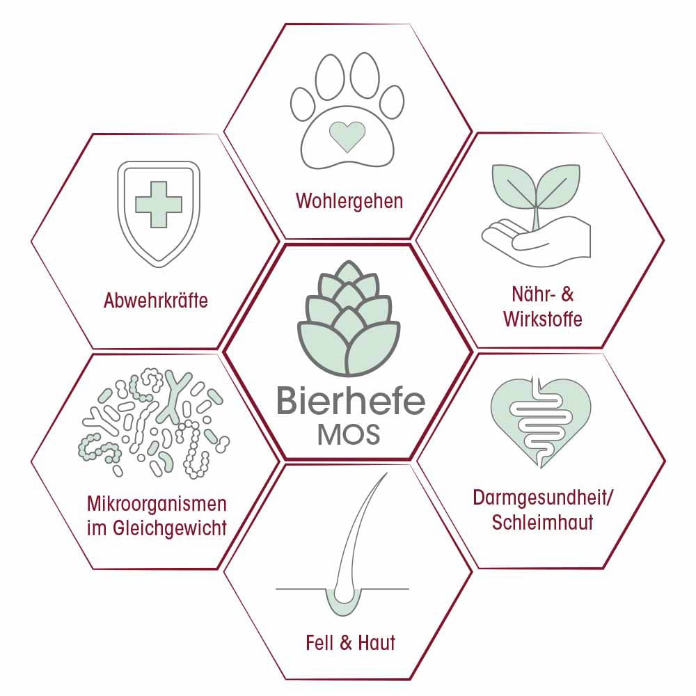 cdVet feliTATZ DarmRegulanz_3