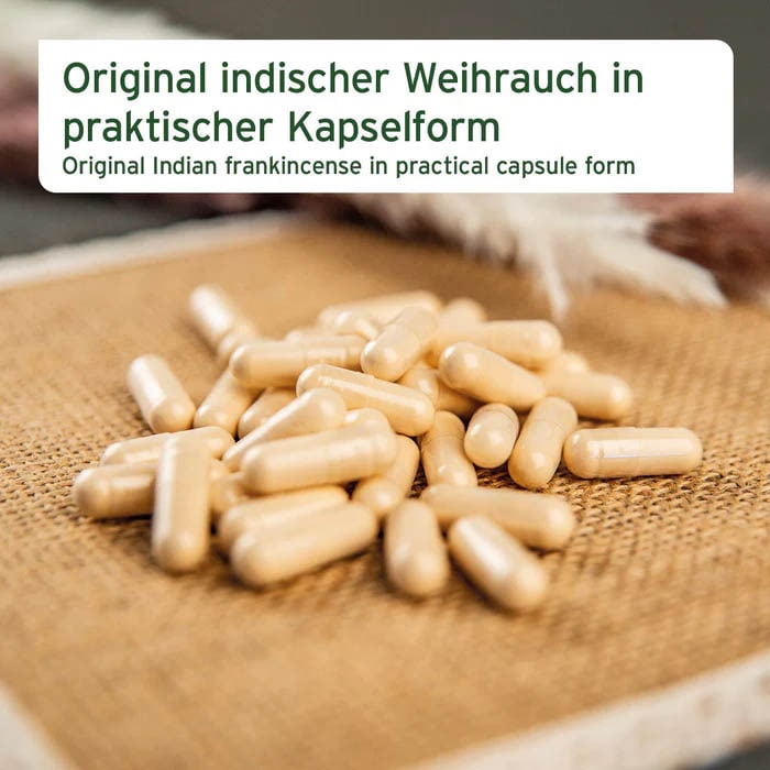 AniForte Weihrauch-Kapseln_1