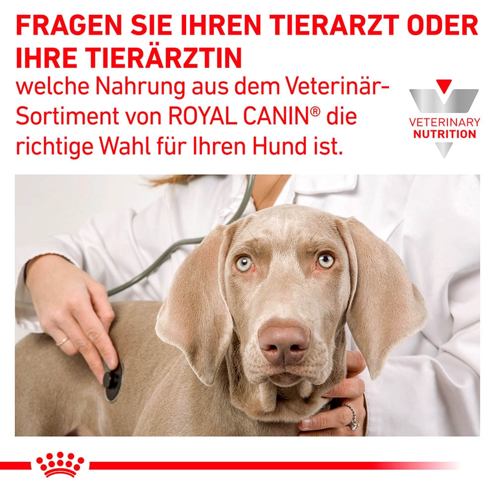 Royal Canin Veterinary Gastrointestinal Mousse Nassfutter für Hunde_4