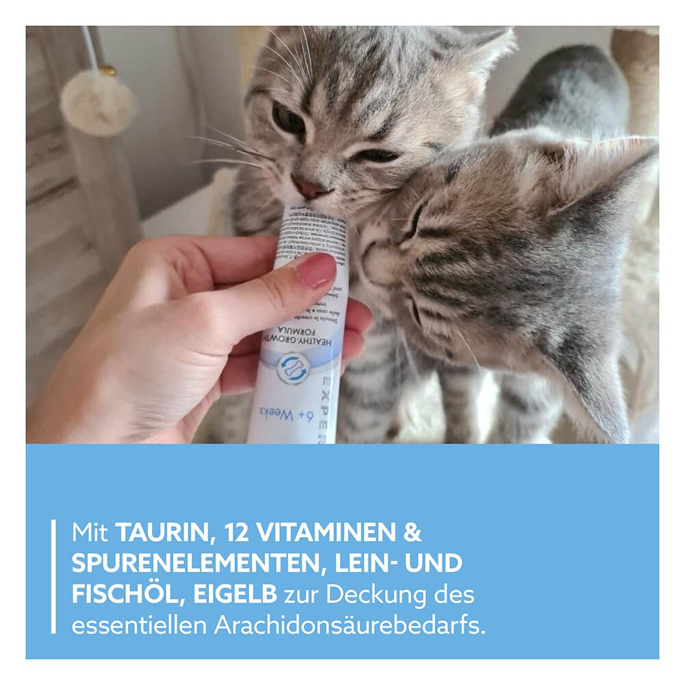 GimCat Kitten Paste_3