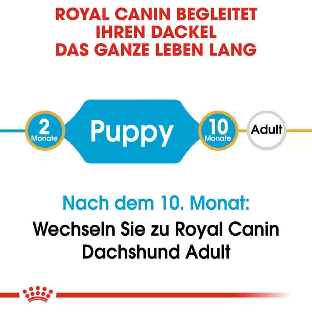 Royal Canin Dachshund Puppy Welpenfutter trocken_2