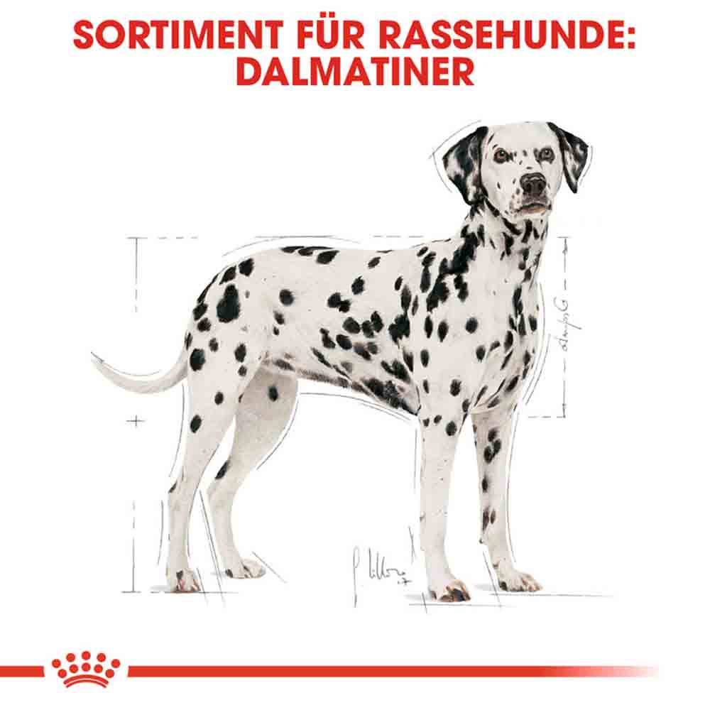 Royal Canin Dalmatian Adult Hundefutter trocken_2