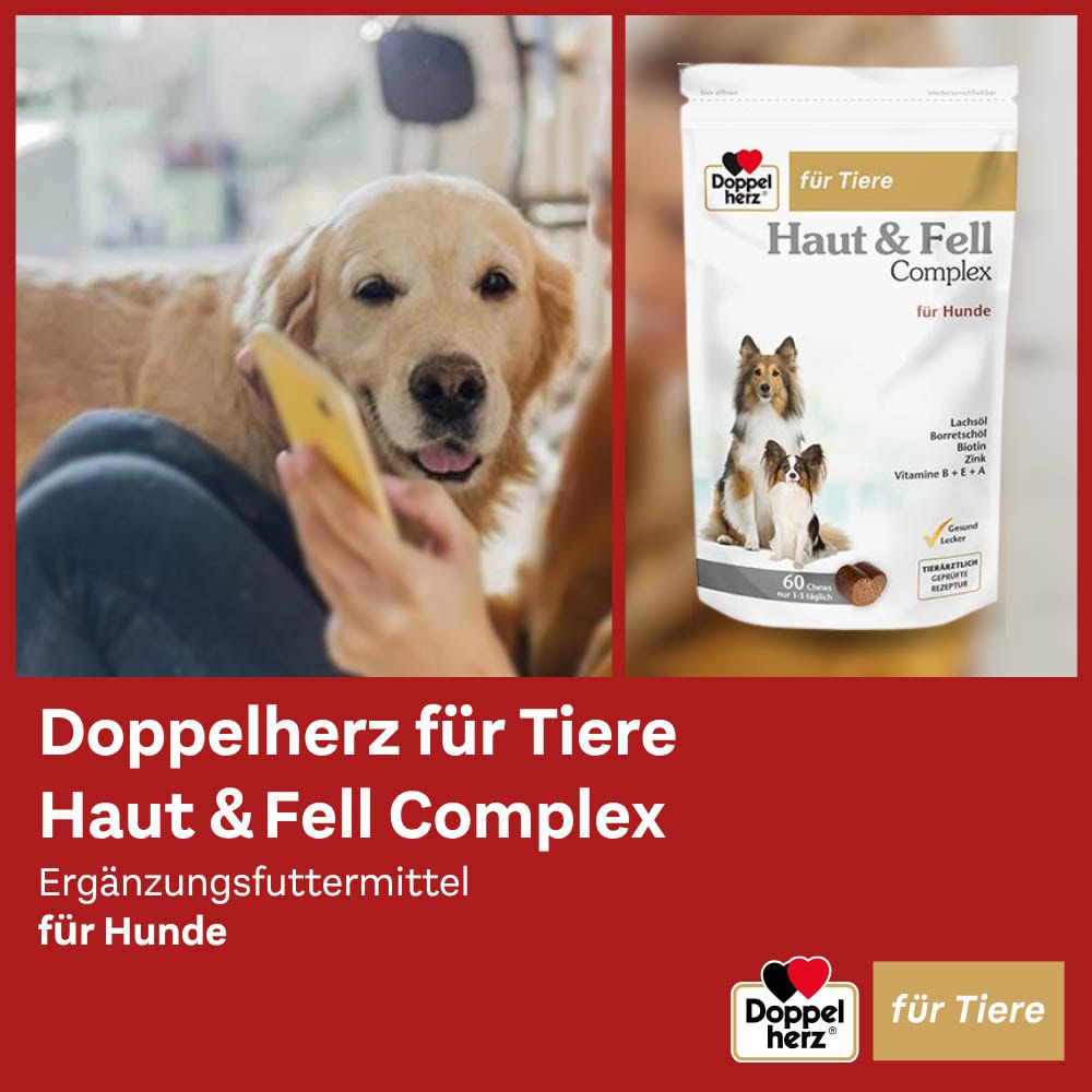 Doppelherz Haut und Fell Complex für Hunde_3