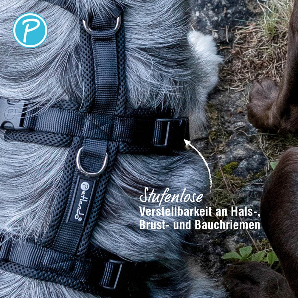 Petlando Sicherheitsgeschirr schwarz_3