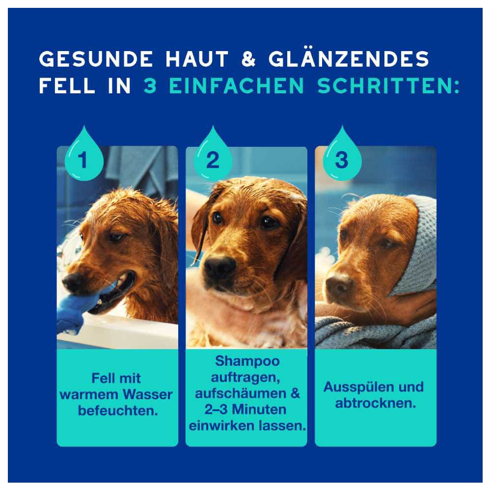 Douxo Spa Hundeshampoo gegen Geruch_4