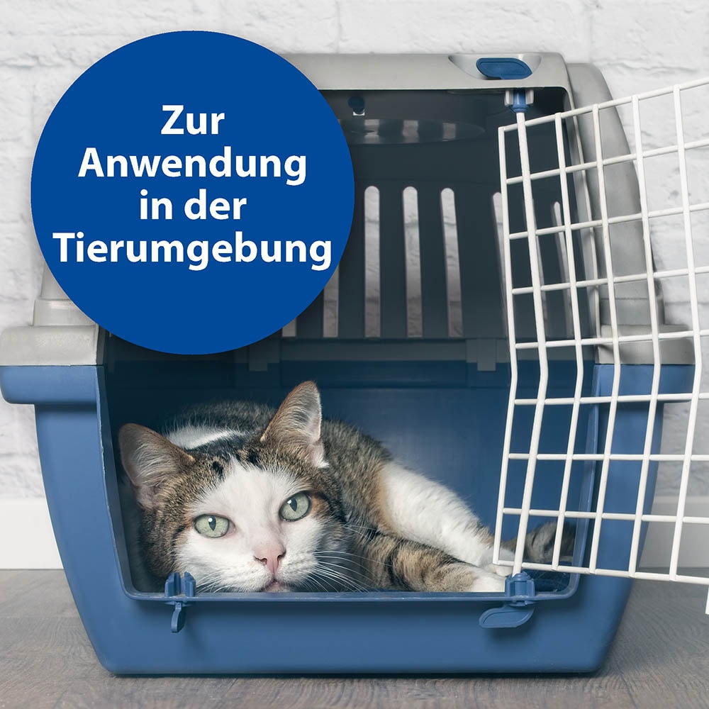 Bactazol Geruchsentferner_2