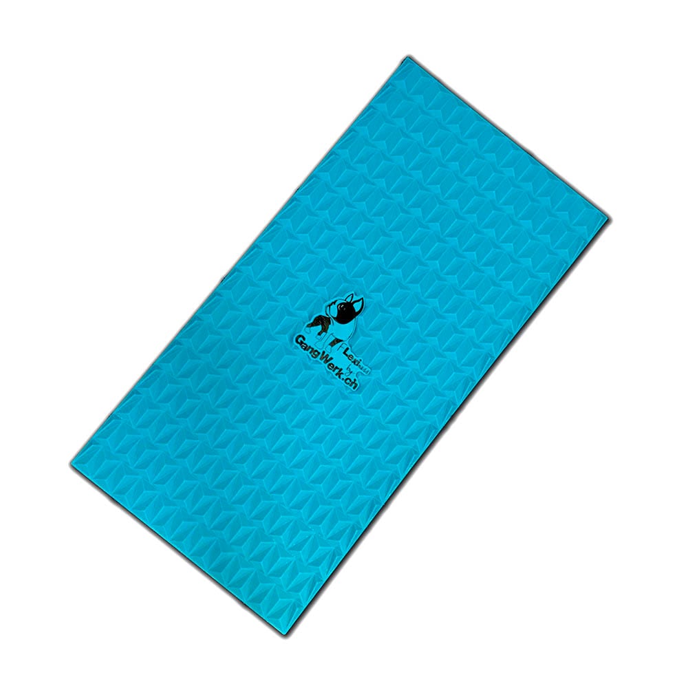 Flexiness SensiMat_2