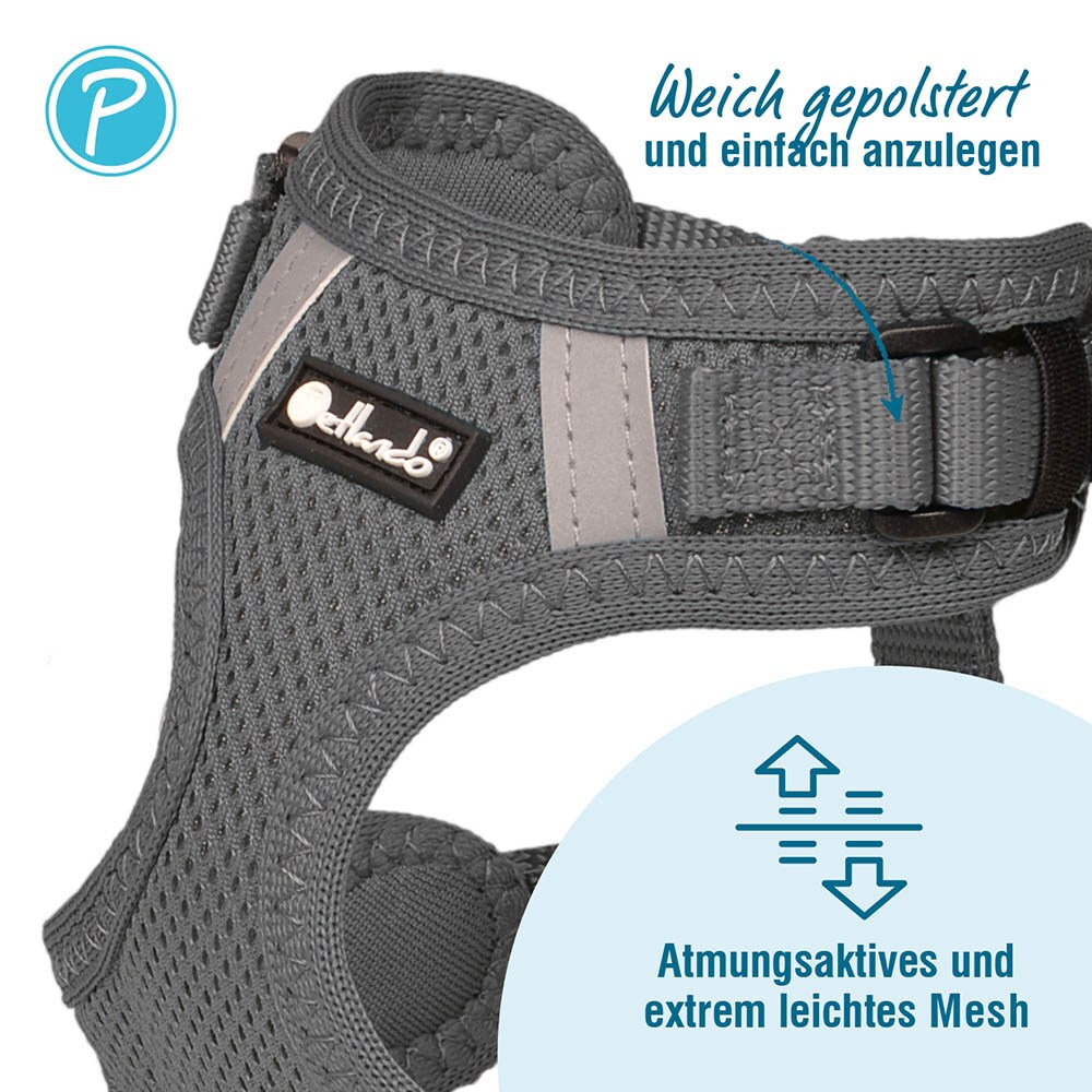 Petlando Mesh Vest anthrazit_1