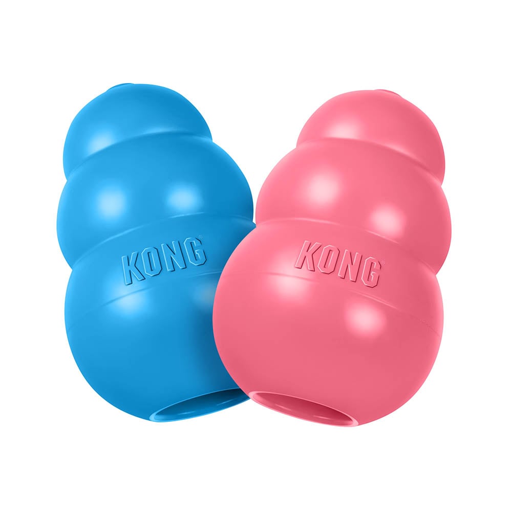 KONG Puppy_1