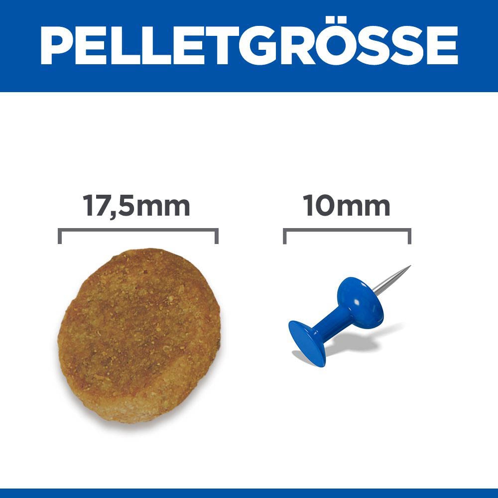 Hills Science Plan Mature Adult 6+ Large Breed mit Huhn Trockenfutter für Hunde_4