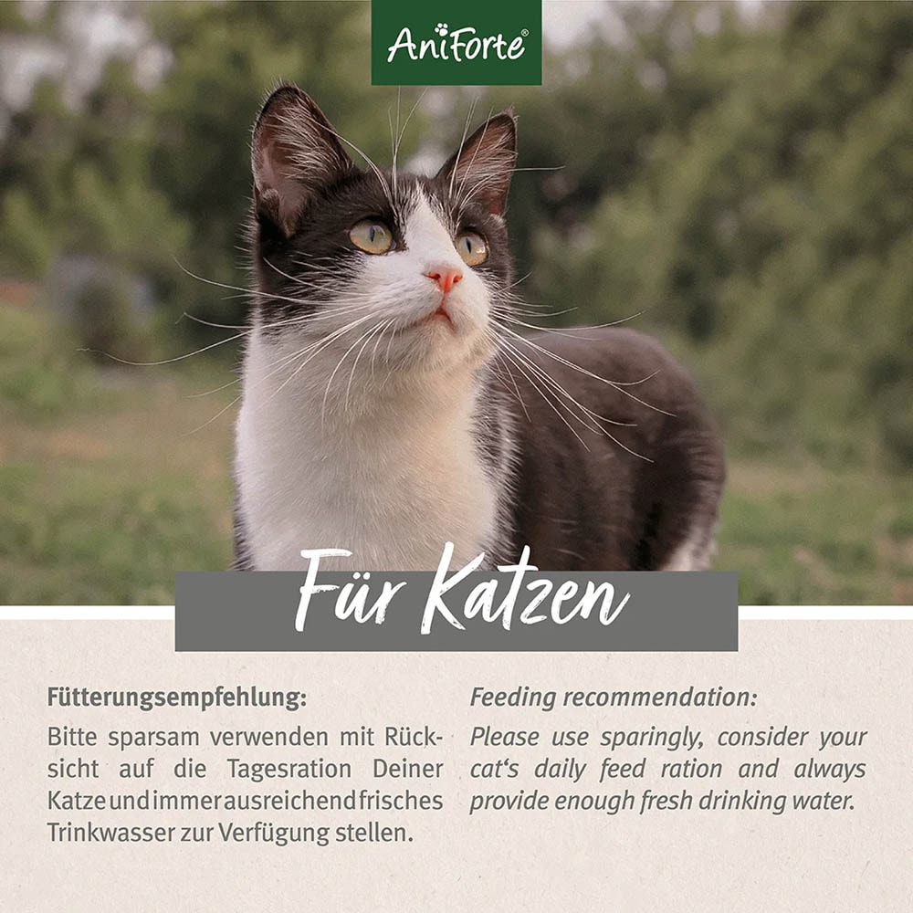 AniForte Katzen Snacks - Mini Fleisch Sticks Huhn_2