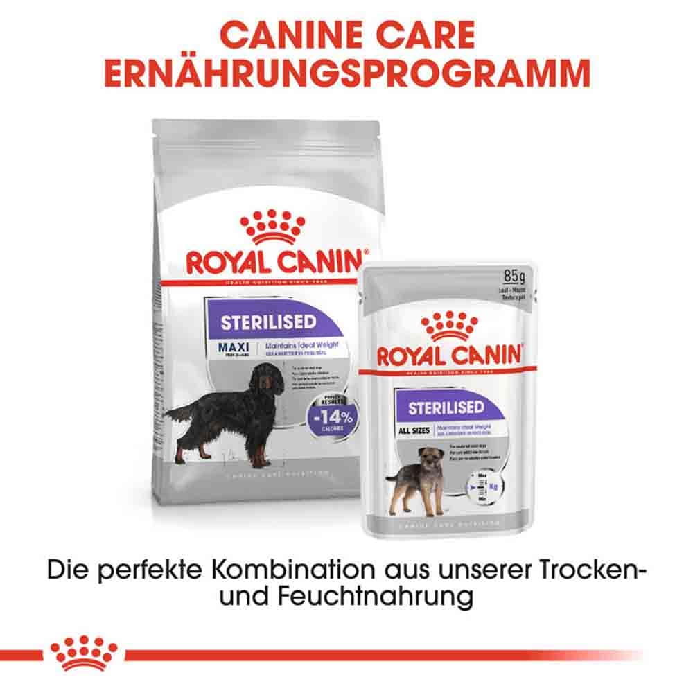 Royal Canin Sterilised Maxi Trockenfutter für kastrierte große Hunde_6