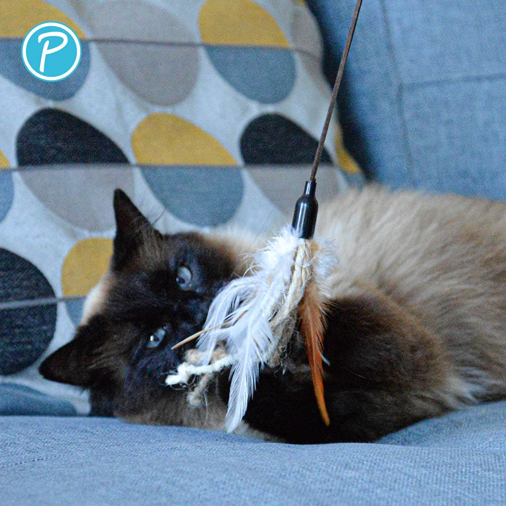 Petlando Katzenangel Sisal_2