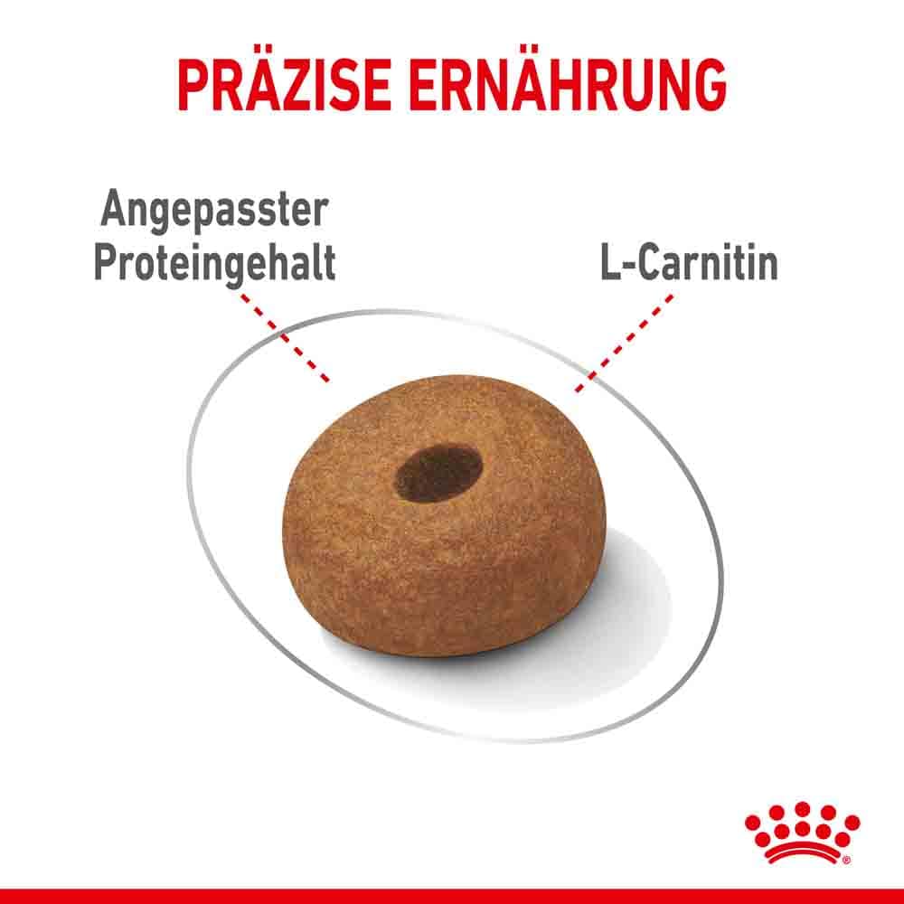 Royal Canin light weight care Maxi Trockenfutter für zu Übergewicht neigenden Hunden_4