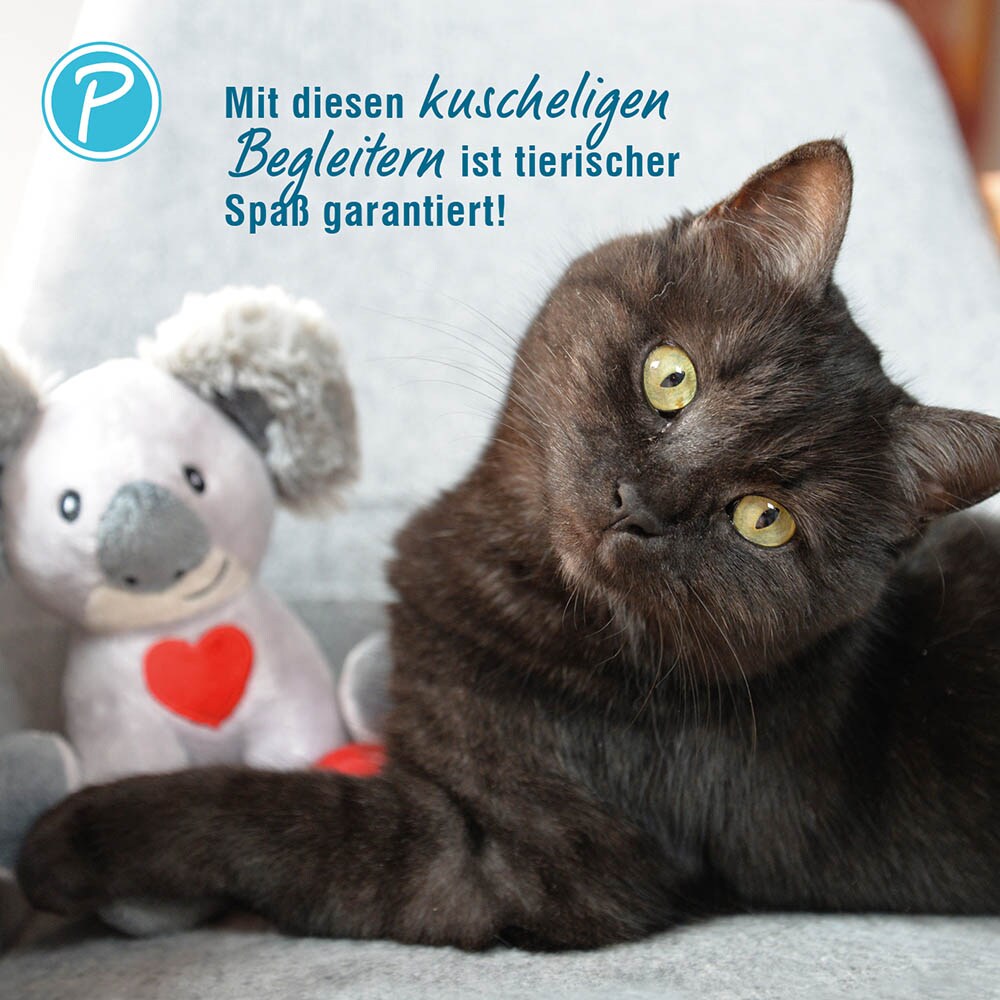 Petlando Moodles Kuscheltier Koala Konrad_3