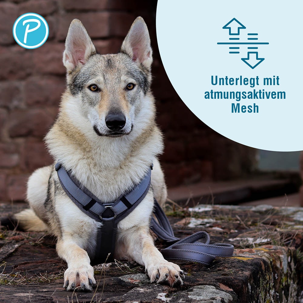 Petlando Mesh verstellbare Führleine anthrazit _2