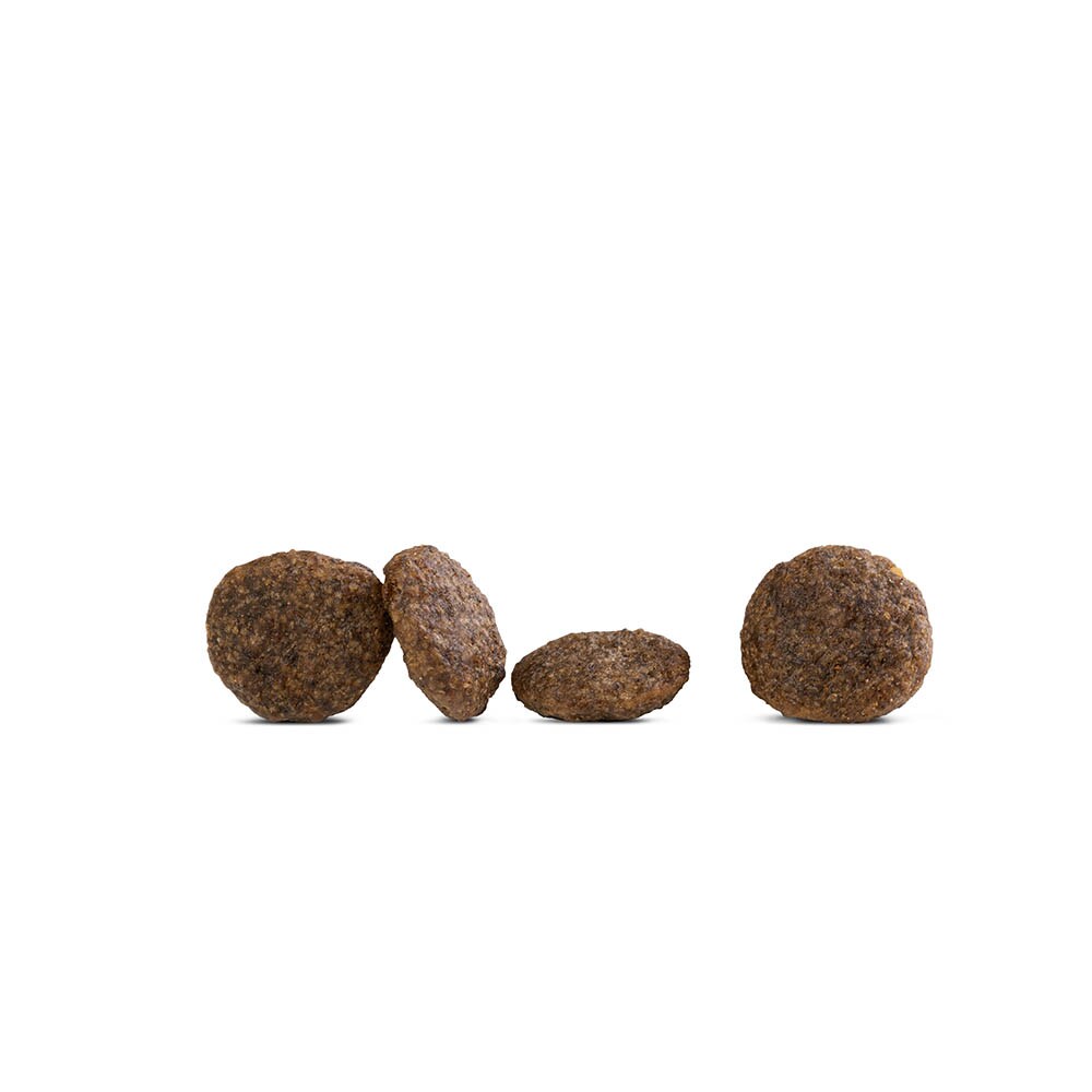 Happy Dog Sensible Mini Africa_1