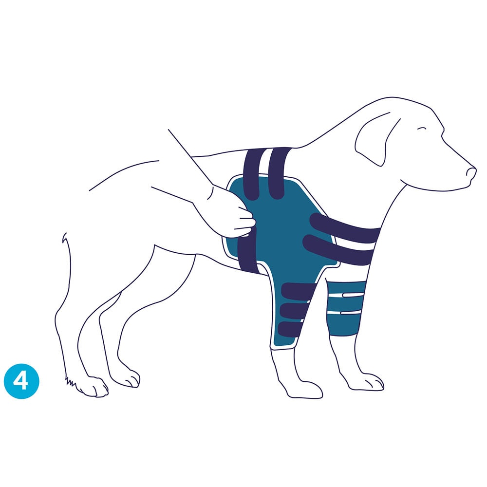 Balto Rehab-Orthese BT Lux_4