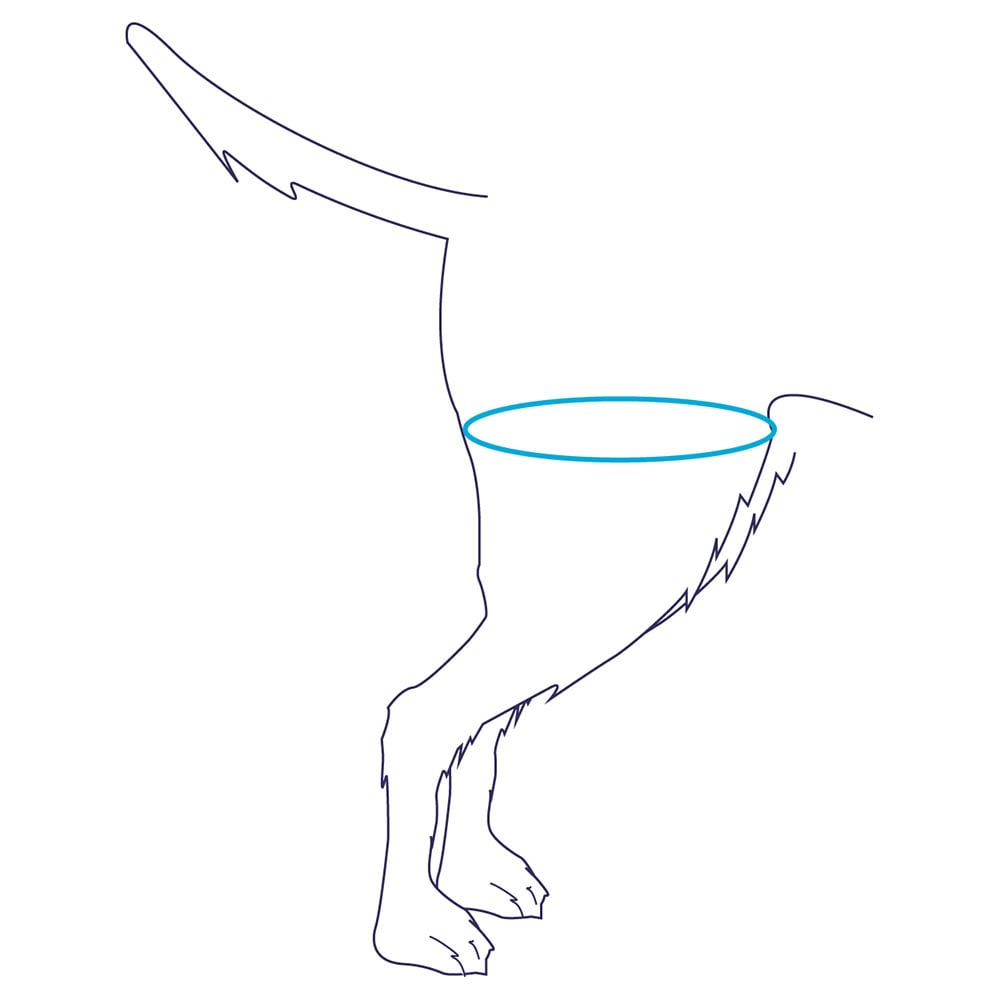 Balto Rehab BT Life_1